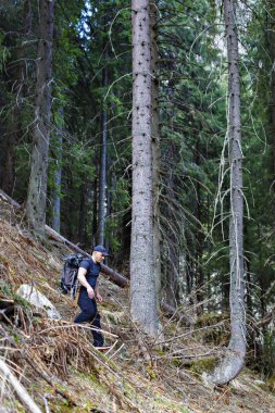 adam dağın ormanın yürüyüş ekipman hiking ile