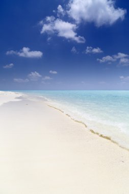 sandspit Maldivler ile güzel ada plaj