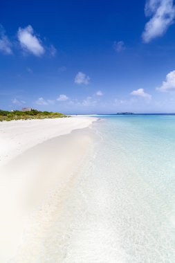 sandspit Maldivler ile güzel ada plaj