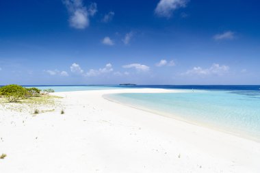 sandspit Maldivler ile güzel ada plaj