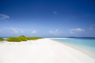 sandspit Maldivler ile güzel ada plaj