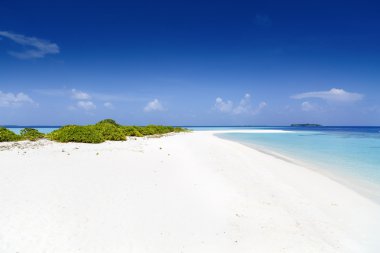 sandspit Maldivler ile güzel ada plaj