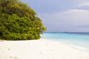 sandspit Maldivler ile güzel ada plaj