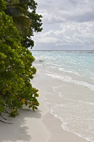 Prachtige eiland strand met sandspit op de Malediven — Stockfoto