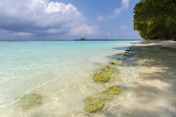 Pantai pulau yang indah dengan pasir di Maladewa — Stok Foto