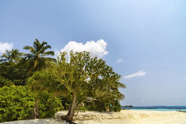 Hermosa playa de la isla con arena en Maldivas —  Fotos de Stock