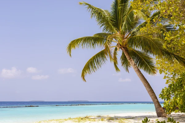 Belle plage de l'île avec une flèche de sable aux Maldives — Photo