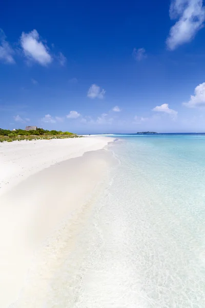 Praia da ilha bonita com sandspit em Maldivas — Fotografia de Stock