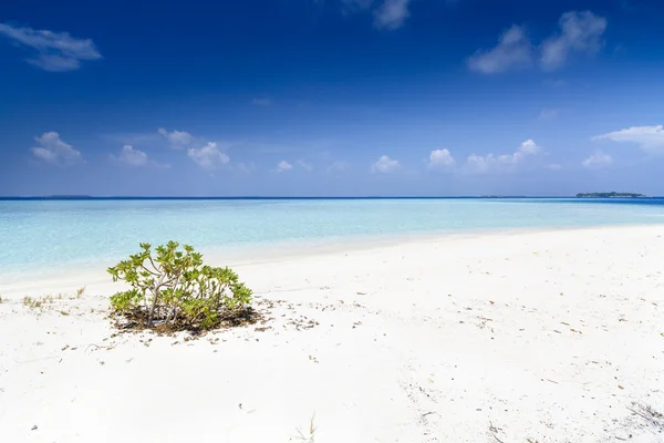 Hermosa playa de la isla con arena en Maldivas — Foto de Stock