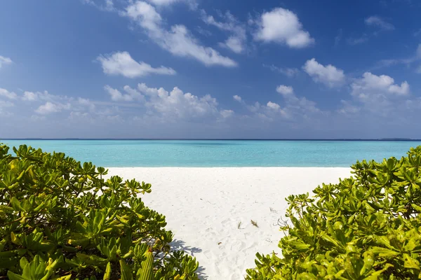 Belle plage de l'île avec une flèche de sable aux Maldives — Photo