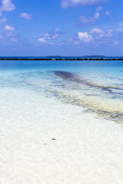 Lanskap dengan pantai tropis di Maladewa — Stok Foto