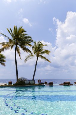 Okyanus manzaralı güzel bir oda egzotik Havuzu