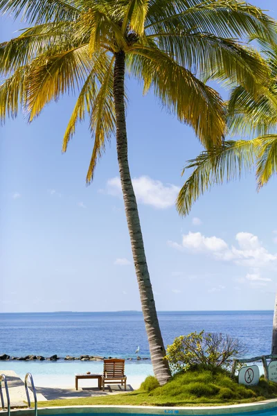 Exotic pool with a beautiful view overlooking ocean — Stock Photo, Image