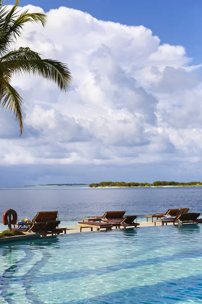 Okyanus manzaralı güzel bir oda egzotik Havuzu