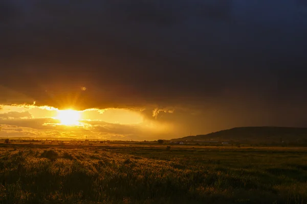 Uma foto do pôr do sol no campo, Romênia - hora da colheita — Fotografia de Stock