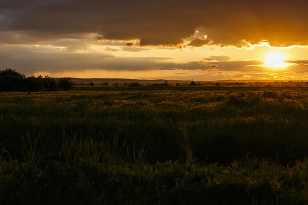 Uma foto do pôr do sol no campo, Romênia - hora da colheita — Fotografia de Stock