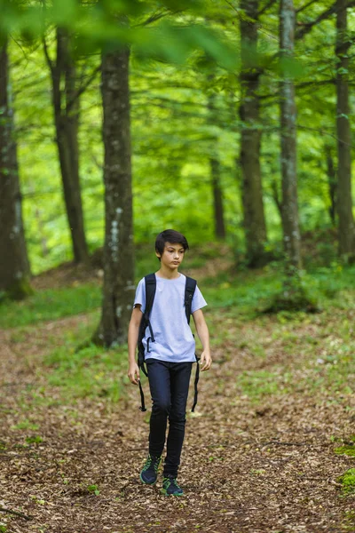 Photographer young boy in nature — Stock Photo, Image