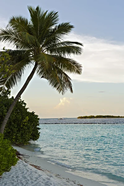 Scène met een idyllische landschap in de Maldiven — Stockfoto