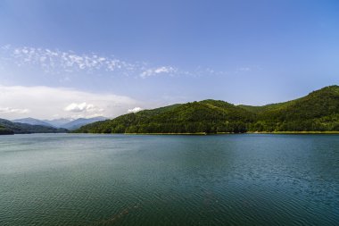 Argeş Nehri üzerinde Vidraru Barajı. Argeş, Romania. Hidro elektrik enerjisi
