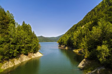 Argeş Nehri üzerinde Vidraru Barajı. Argeş, Romania. Hidro elektrik enerjisi