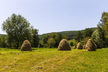 Haystacks Karpat dağ güzel yaz Plato üzerinde. PA