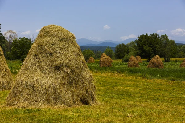 Pile di paglia sul bellissimo altopiano estivo nella montagna dei Carpazi. Pa — Foto Stock