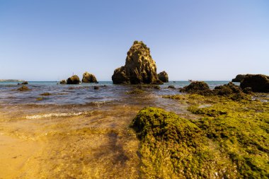 güzel bir plaj Atlantik Okyanusu, Algarve, Portekiz
