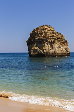 güzel bir plaj Atlantik Okyanusu, Algarve, Portekiz