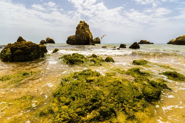 güzel bir plaj Atlantik Okyanusu, Algarve, Portekiz