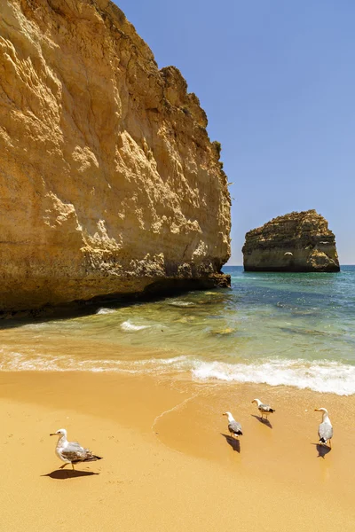 Bela praia no Oceano Atlântico, Algarve, Portugal — Fotografia de Stock