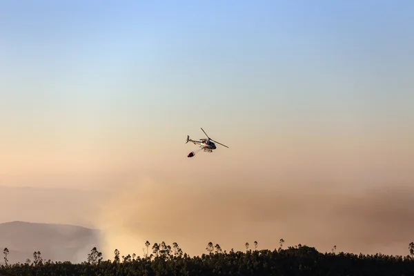 Apague o fogo com um balde de água. incêndios florestais no verão. plano