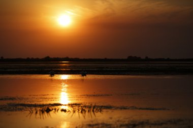 Tuna Deltası üzerinde güzel gün batımı