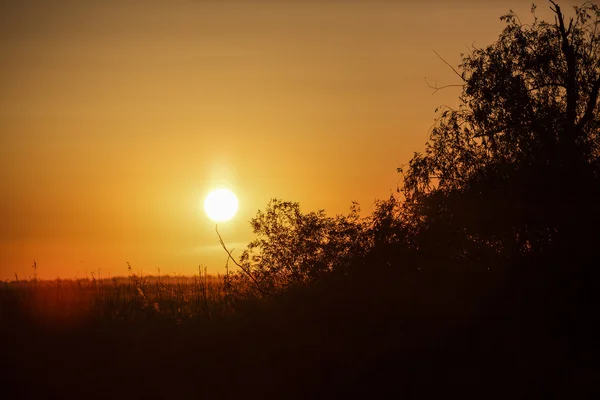 Belo pôr do sol no Delta do Danúbio — Fotografia de Stock