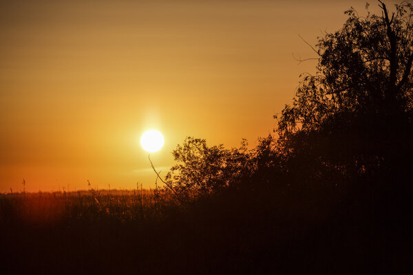 Beautiful sunset on Danube Delta