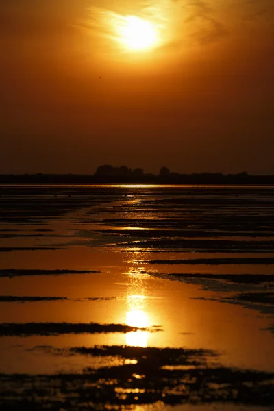 Krásný západ slunce na Dunajské deltě — Stock fotografie