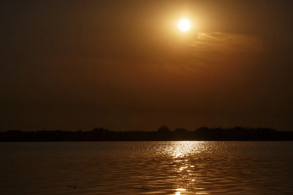 Beautiful sunset on Danube Delta — Stock Photo, Image