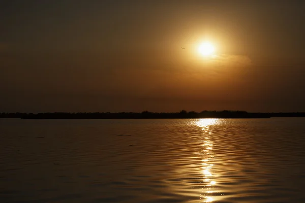 Hermoso atardecer en el Delta del Danubio — Foto de Stock