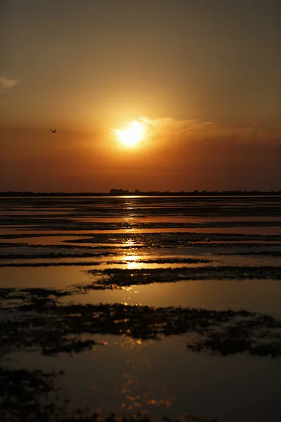 Krásný západ slunce na Dunajské deltě — Stock fotografie