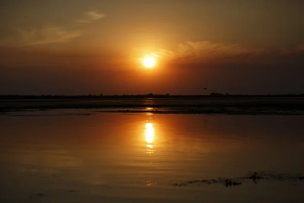 Hermoso atardecer en el Delta del Danubio — Foto de Stock