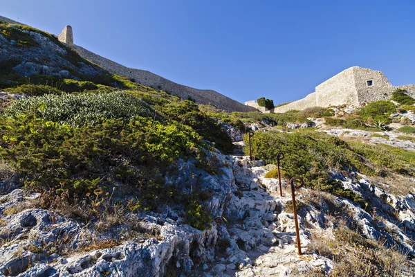 Fortress on the Atlantic coast in Portugal — Stock Photo, Image