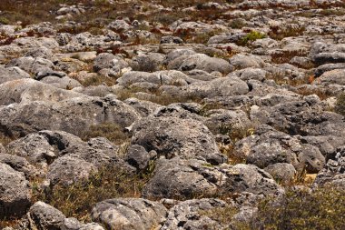 kaya oluşumları okyanus üzerinde