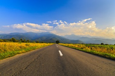 Romanya Fagaras dağlarda güzel dağ yolu