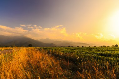 Romanya Fagaras dağlarda güzel dağ yolu