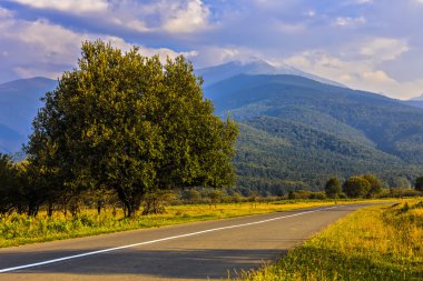 Romanya Fagaras dağlarda güzel dağ yolu