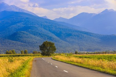 Romanya Fagaras dağlarda güzel dağ yolu