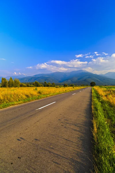 Un hermoso camino de montaña en las montañas de Fagaras Rumania —  Fotos de Stock