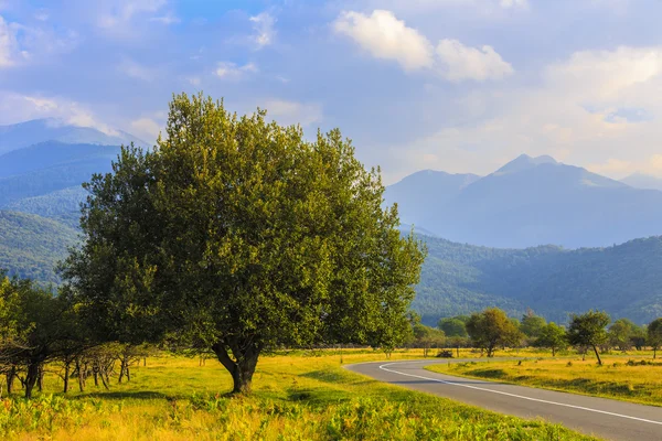 Una bella strada di montagna nelle montagne di Fagaras Romania — Foto Stock