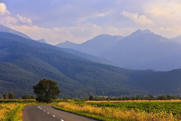 フグラシ山ルーマニアの美しい山の道路 — ストック写真