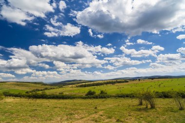 Romanya tepelerde yuvarlak haddeleme içinde bir hasat manzara uzak manzara