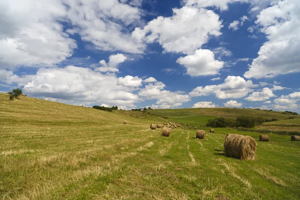 Una vista del paisaje de la cosecha en colinas onduladas en Rumania con redondo —  Fotos de Stock